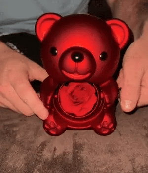 Interlocked Hearts Necklace with Rose Teddy